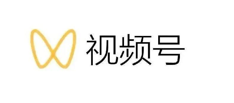 最新视频号解读，视频号真相 变现玩法【视频课程】-斗金学社