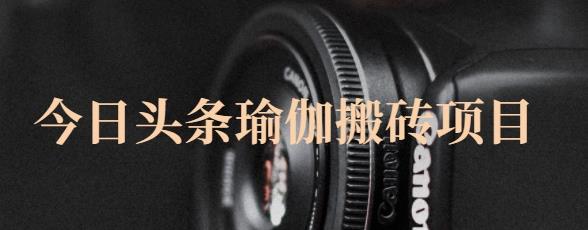 猎人社区·今日头条瑜伽搬砖项目，单号一天几十收入，可以批量操作！-斗金学社