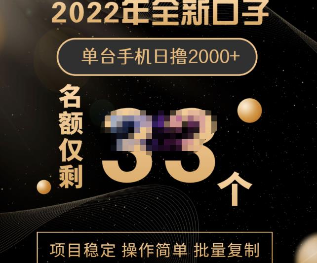 2022年全新口子，手机批量搬砖玩法，一部手机日撸2000-斗金学社