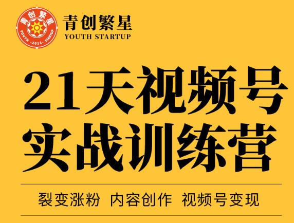 张萌21天视频号实战训练营，裂变涨粉、内容创作、视频号变现 价值298元-斗金学社