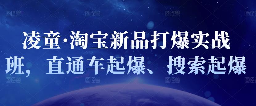 凌童·淘宝新品打爆实战班，直通车起爆、搜索起爆-斗金学社