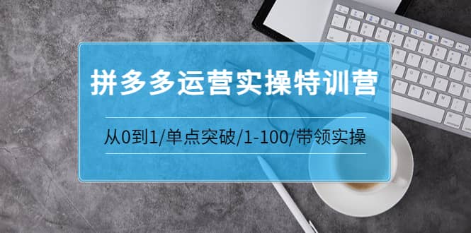拼多多运营实操特训营：从0到1/单点突破/1-100/带领实操 价值2980元-斗金学社