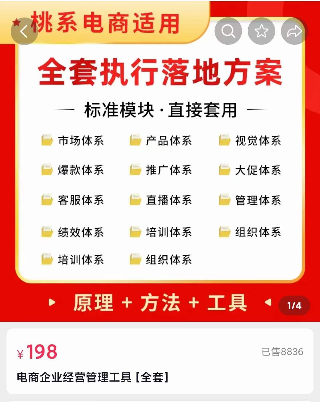 外面卖198·电商企业经营管理工具：全套执行落地方案 标准模块·直接套用-斗金学社