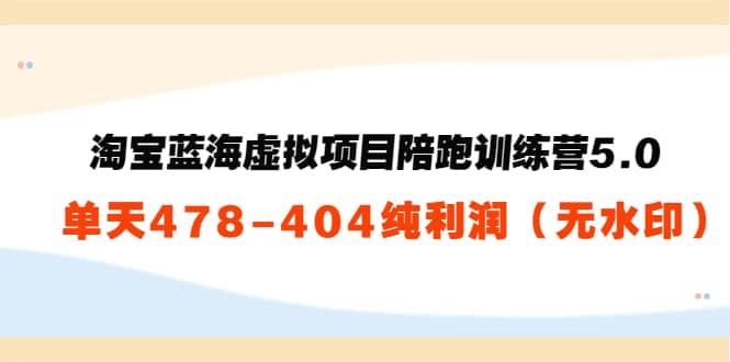 淘宝蓝海虚拟项目陪跑训练营5.0：单天478纯利润（无水印）-斗金学社