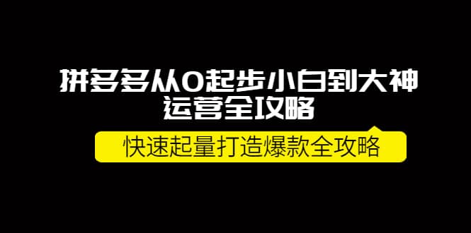 拼多多从0起步小白到大神运营全攻略-斗金学社