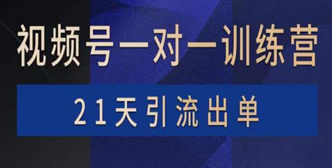 视频号训练营：带货，涨粉，直播，游戏，四大变现新方向，21天引流出单-斗金学社