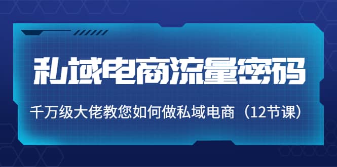 私域电商流量密码：千万级大佬教您如何做私域电商（12节课）-斗金学社