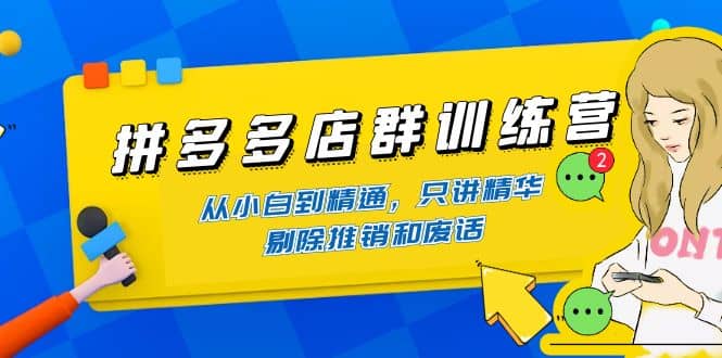 拼多多店群训练营：从小白到精通，只讲精华，剔除推销和废话-斗金学社