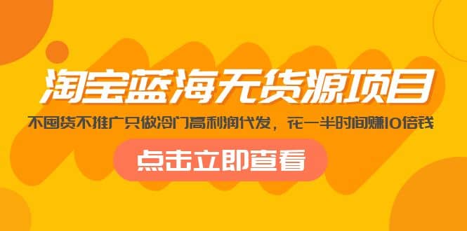 淘宝蓝海无货源项目，不囤货不推广只做冷门高利润代发-斗金学社