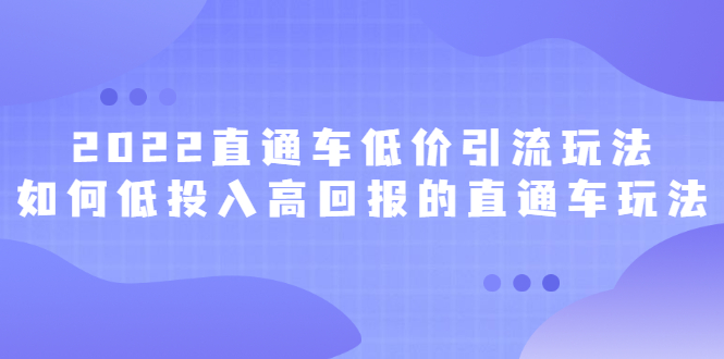 2022直通车低价引流玩法，教大家如何低投入高回报的直通车玩法-斗金学社