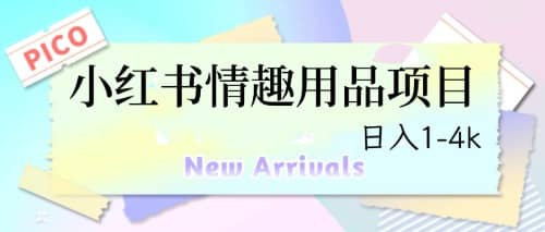 最新小红书情趣用品项目，日入1-4k-斗金学社
