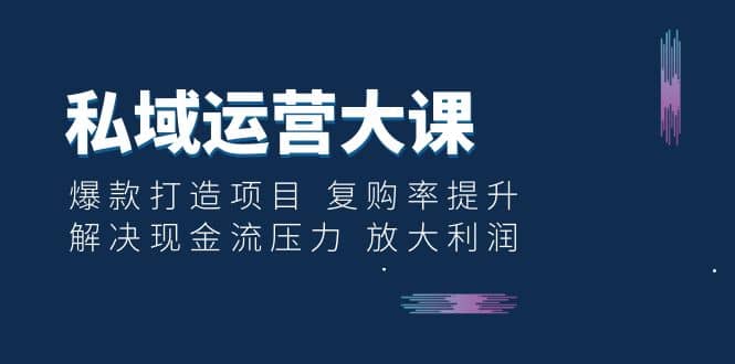 私域运营大课：爆款打造项目 复购率提升 解决现金流压力 放大利润-斗金学社