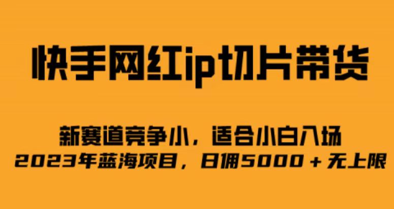 快手网红ip切片新赛道，竞争小事，适合小白 2023蓝海项目-斗金学社