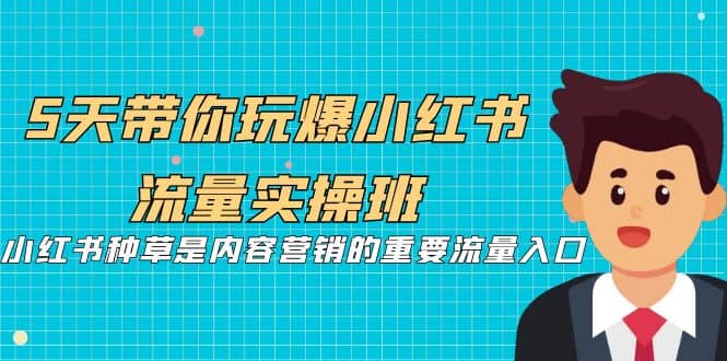 5天带你玩爆小红书流量实操班，小红书种草是内容营销的重要流量入口-斗金学社