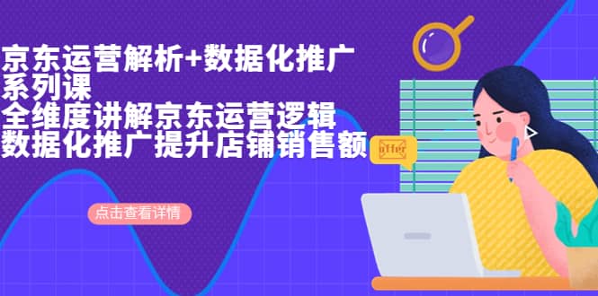 京东运营解析与数据化推广系列课，全维度讲解京东运营逻辑 数据化推广提升店铺销售额-斗金学社