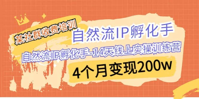 某社群收费培训：自然流IP 孵化手-14天线上实操训练营 4个月变现200w-斗金学社