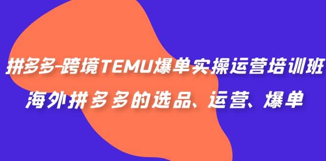 拼多多-跨境TEMU爆单实操运营培训班，海外拼多多的选品、运营、爆单-斗金学社