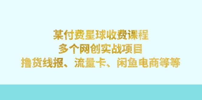 某付费星球课程：多个网创实战项目，撸货线报、流量卡、闲鱼电商等等-斗金学社