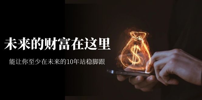 某收费文章《未来的财富在这里》能让你至少在未来的10年站稳脚跟-斗金学社