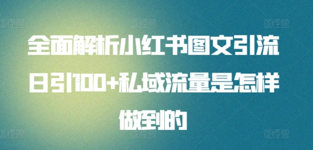 日引流100私域流量小红书图文是怎样做到的全面解析-斗金学社