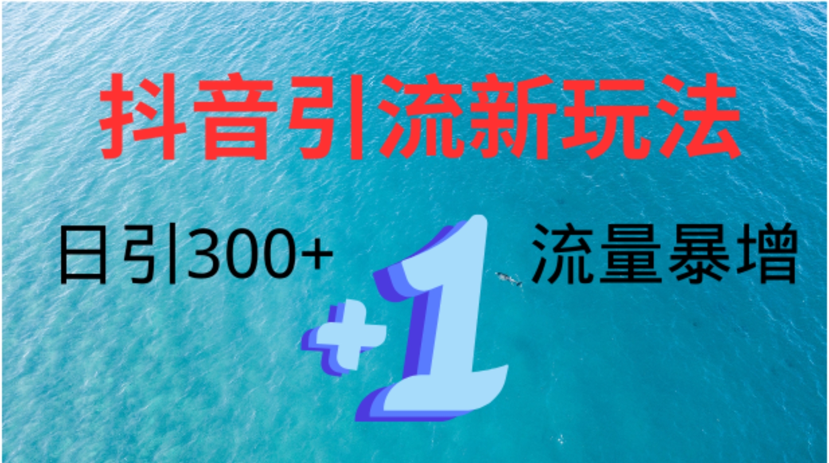 创业粉高效引流，抖音工具号玩法4.0，日引300+-斗金学社