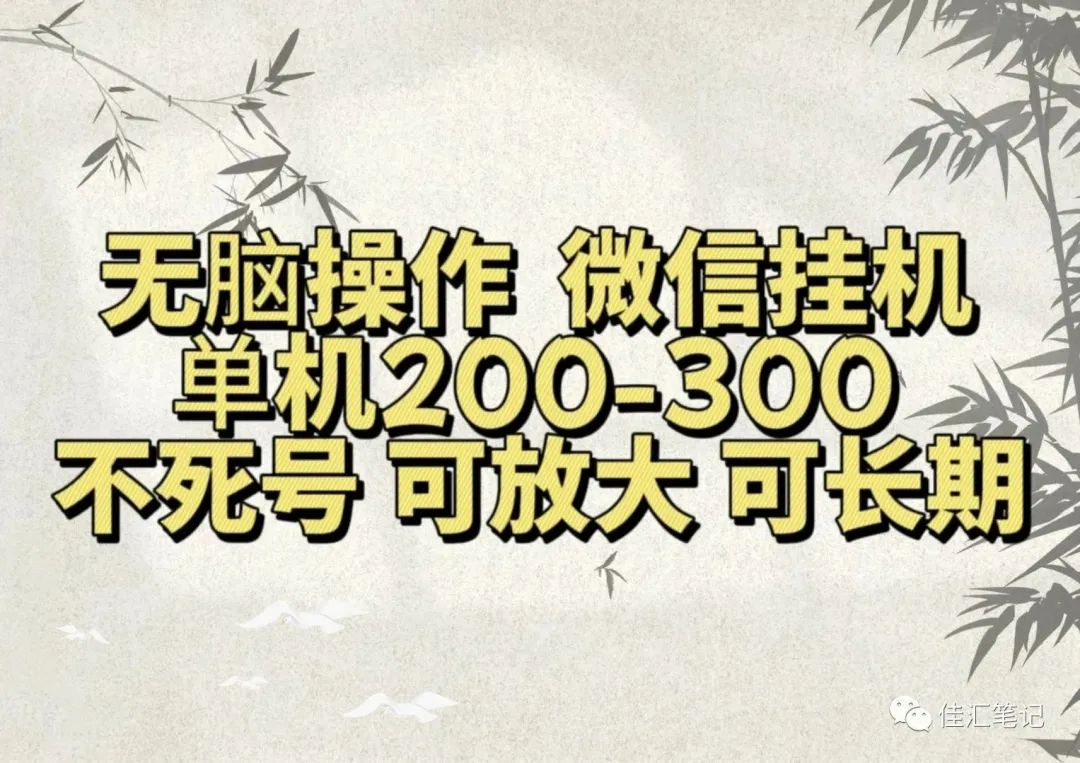 无脑操作微信视频号挂机单机200-300一天，不死号，可放大，工作室实测-斗金学社