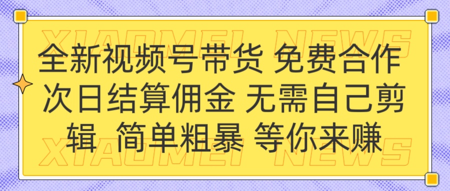 全新视频号 免费合作 佣金次日结算 无需自己剪辑-斗金学社