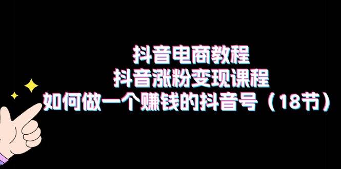 抖音电商教程：抖音涨粉变现课程：如何做一个赚钱的抖音号（18节）-斗金学社